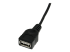 StarTech.com 1 ft Mini USB 2.0 Cable - Close up