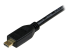 StarTech.com 6 ft High Speed HDMI Cable with Ethernet - Close up