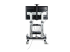 StarTech.com Rolling TV Cart/Stand On Wheels, Up to 100inch/220lb Screens - Back