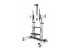 StarTech.com Rolling TV Cart/Stand On Wheels, Up to 100inch/220lb Screens - Right-angle