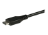 StarTech.com USB C to Fiber Optic Converter - Close up