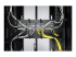 APC - Cable management ring - Front