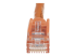 StarTech.com 100ft CAT6 Ethernet Cable, 10 Gigabit Snagless RJ45 650MHz 100W PoE Patch Cord, CAT 6 10GbE UTP Network Cable w/Strain Relief, Orange, Fluke Tested/Wiring is UL Certified/TIA - Close up