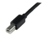 StarTech.com 20m / 65 ft Active USB 2.0 A to B Cable - Close up