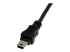 StarTech.com 1 ft Mini USB 2.0 Cable - Close up